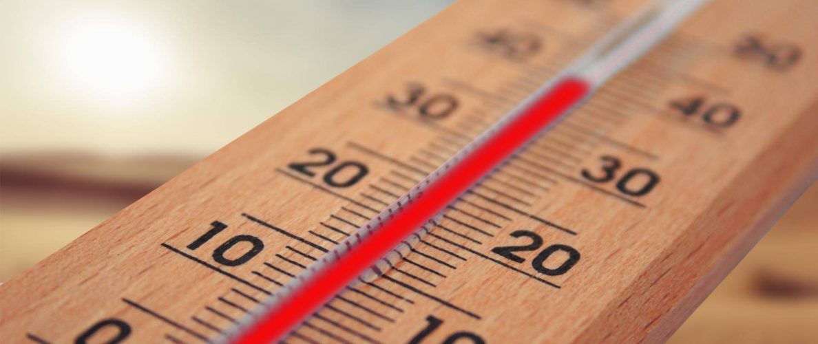 Evitar los efectos del calor sobre el rendimiento (I)